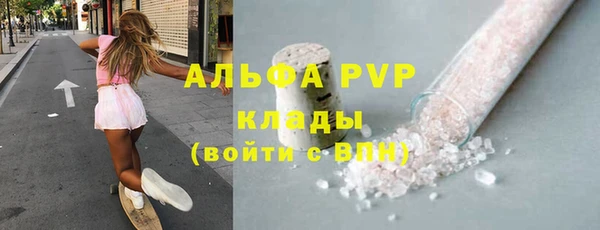 СК Алзамай
