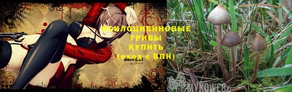 СК Алзамай