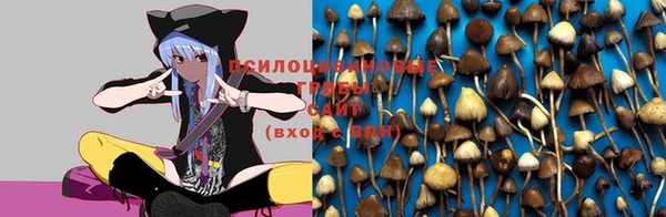 каннабис Алексин