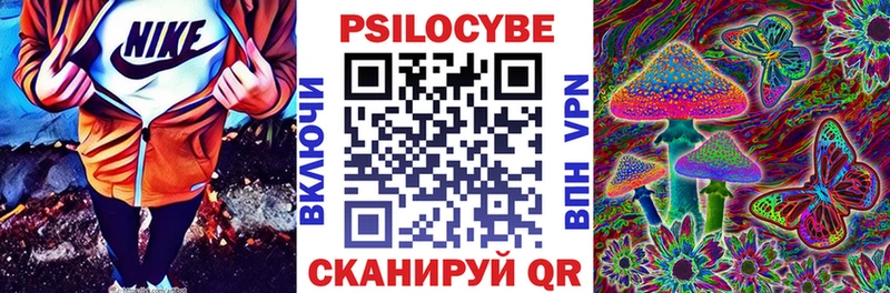 где купить MEGA онион Псилоцибиновые грибы Cubensis Берёзовский